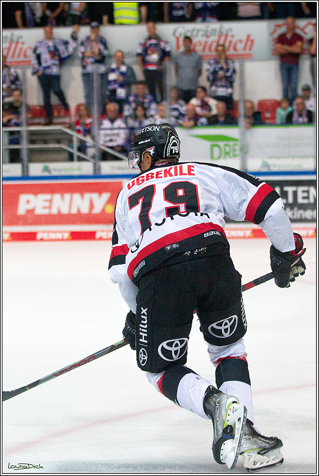 PENNY DEL;  Koelner Haie - Iserlohn Roosters; Koeln, 26.09.2021